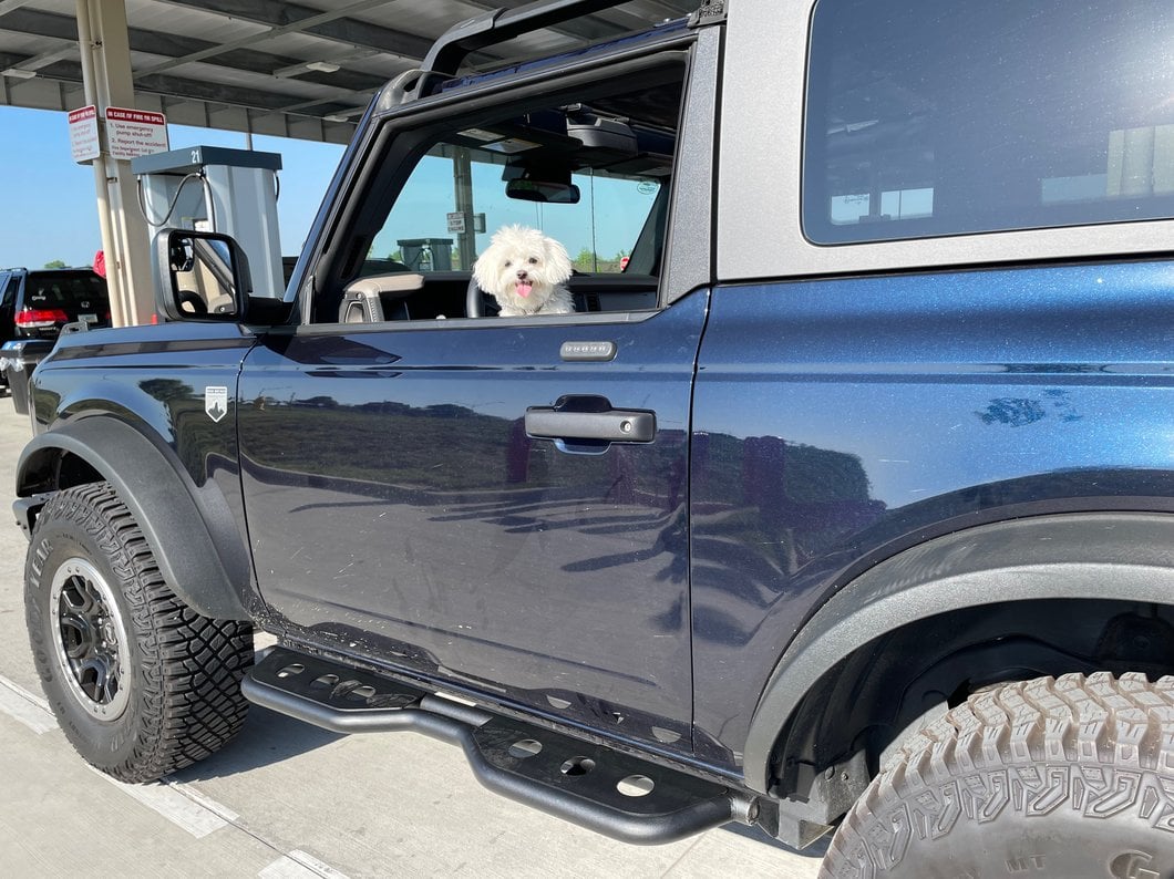 Barricade HD Rocker Steps; Textured Black (21-25 Bronco 2-Door)