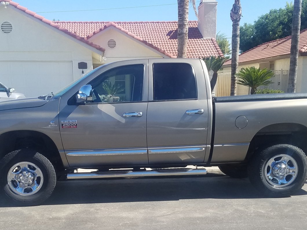Barricade 6-Inch Oval Straight End Side Step Bars; Stainless Steel (03-09 RAM 2500 Quad Cab)