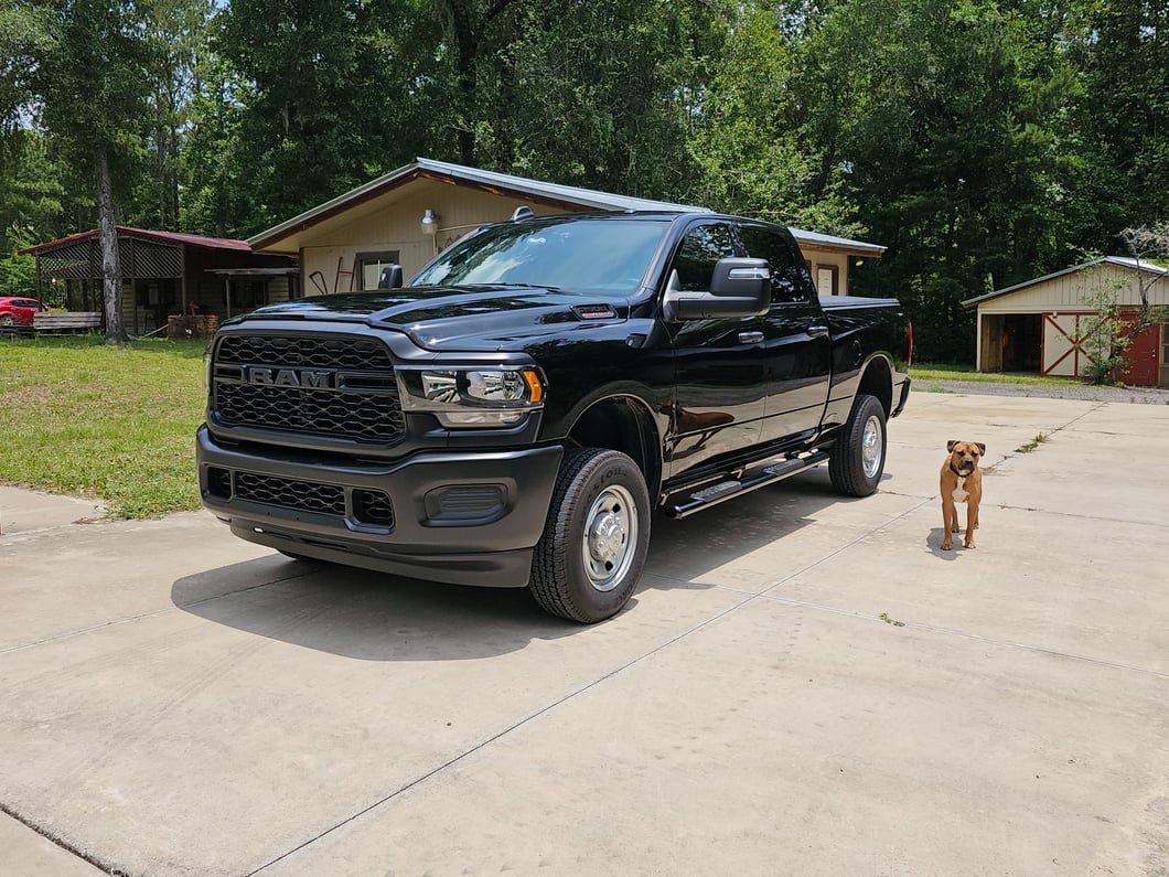 Barricade 4-Inch Oval Straight End Side Step Bars; Black (10-24 RAM 2500 Crew Cab)