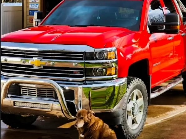 Barricade 3.50-Inch Bull Bar with Skid Plate and 20-Inch LED Light Bar; Stainless Steel (11-19 Silverado 2500 HD)