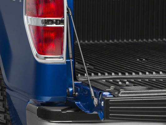 Barricade Tailgate Assist (04-14 F-150)