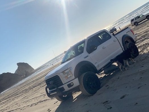 Barricade Premium Molded Fender Flares (15-17 F-150, Excluding Raptor)