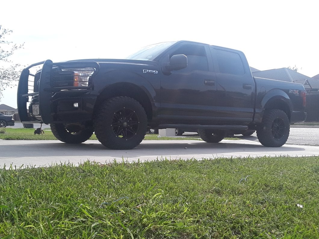 Barricade Brush Guard; Black (15-20 F-150, Excluding Raptor)