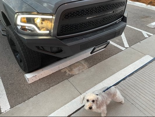 Barricade Skid Plate for Barricade HD Off-Road Front Bumper R111450 Only (09-12 RAM 1500)