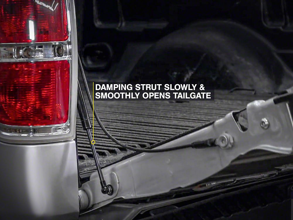 Barricade Tailgate Assist (04-14 F-150)