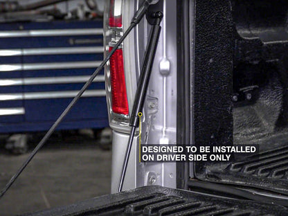 Barricade Tailgate Assist (04-14 F-150)
